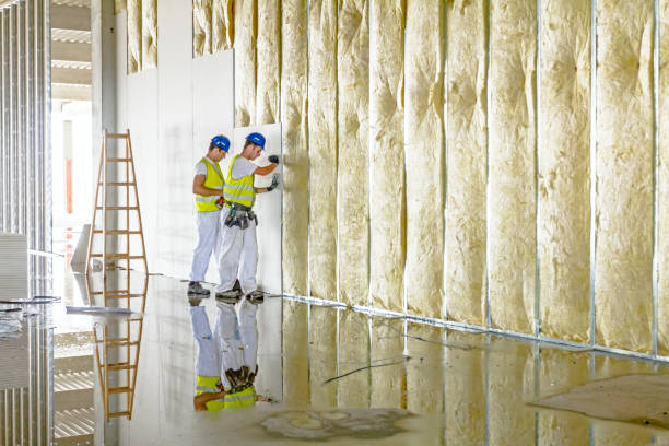 Professional Insulation Contractor in MA
